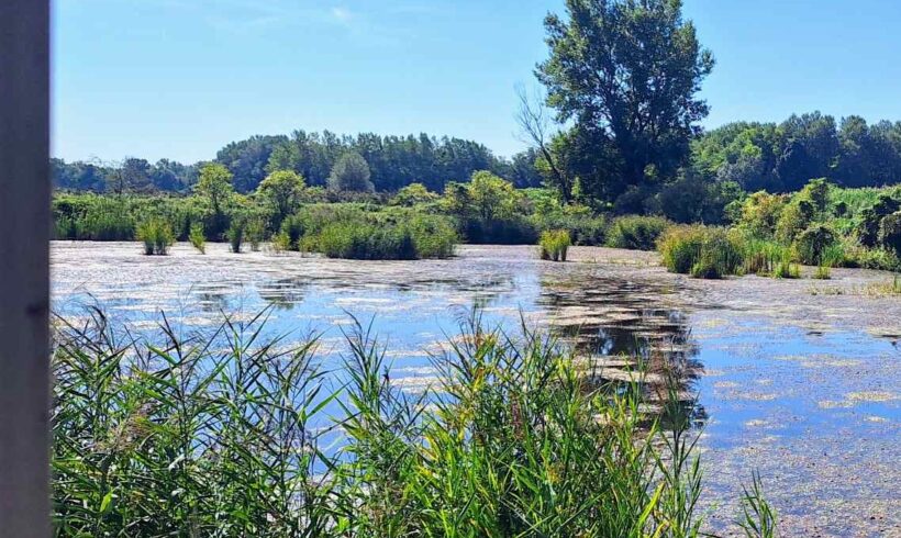 Obravnava pobude za institucionalno preoblikovanje načina izvajanja gospodarskih javnih služb na področju voda in vodne infrastrukture