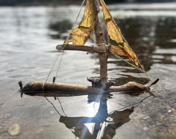 Zmagovalci nacionalnega dela Natečaja DAM 2025