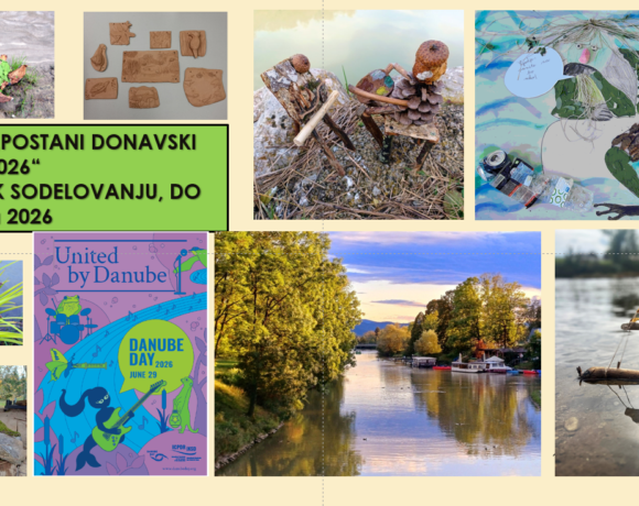 Postani Donavski umetnik 2026